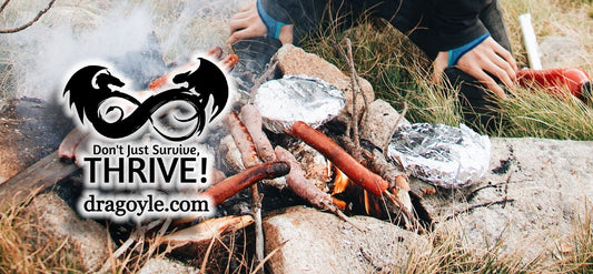 Easy Healthy Campfire Cooking Recipes