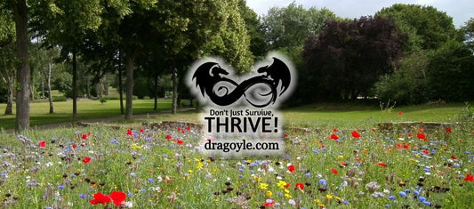 Many of the weeds that we pull out of the garden are not only edible, but very good for us. Besides that we can always use weeds as composting material instead of just bagging and trashing.