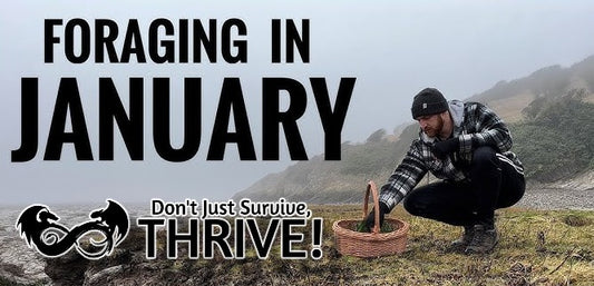 Foraging Calendar: What to Forage in January