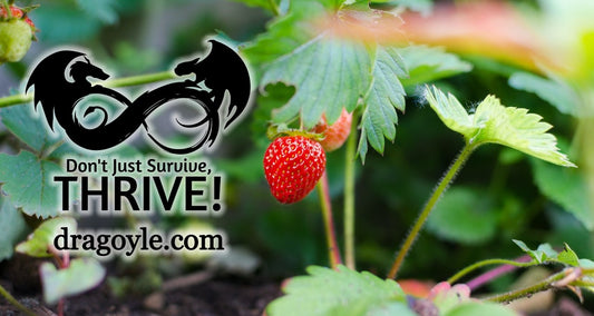 Gardening is a great way to spend time outside and exercise, but it's also a rewarding hobby. You don't need to be an expert gardener to enjoy the benefits of growing your own food!