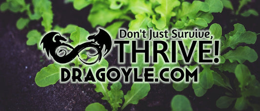 Growing your own herbs is a great way to get fresh, healthy food in your home. It also allows you to control what goes into your meals and saves money on store-bought products.