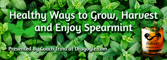 Healthy Ways to Grow, Harvest and Enjoy Spearmint
