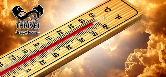 The Most Dangerous Health Effects of Summer Heat