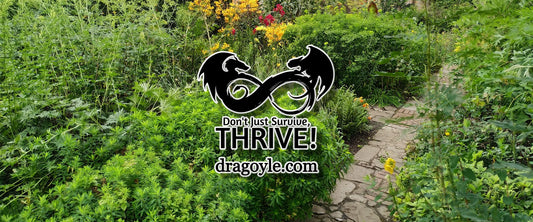 10 Things To Plant In The Fall To Harvest In Winter
