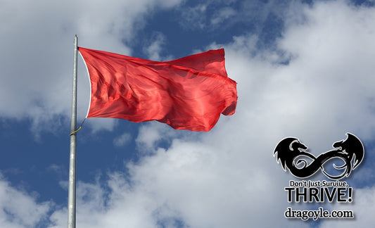 Some dating situations have so many red flags that one simply can't ignore it tell me how many red flags to you find on this first date and do you think I should give him a second chance?