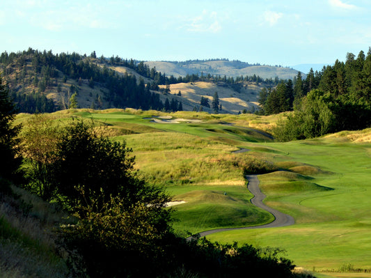 Golfing with bare feet is a great way to reduce stress and get grounded and balanced. With beautiful trees and green grass to enjoy it can decrease depression, release tension and bring you peace and joy.