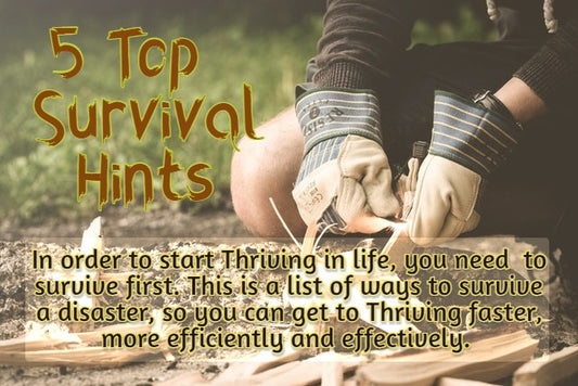5 Top Survival Hints