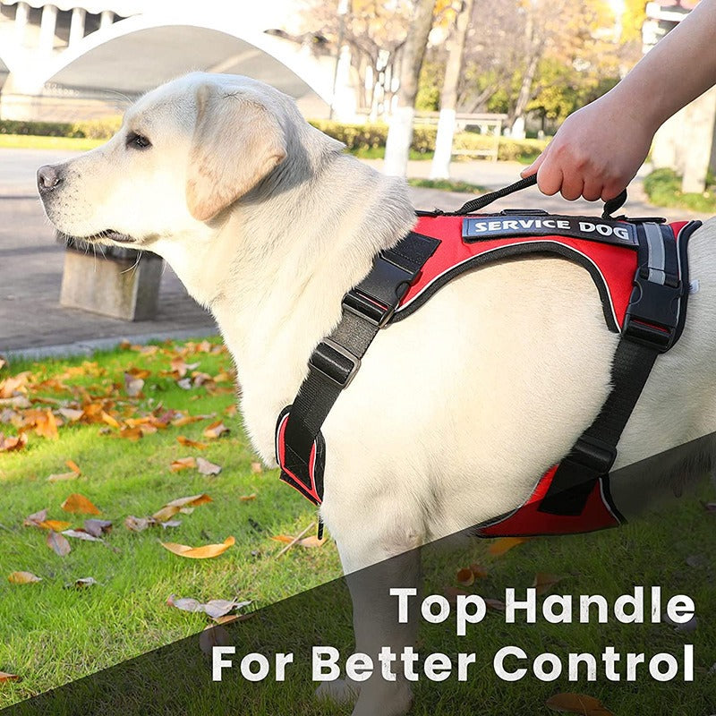 Introducing the Reflective Explosion-Proof Service Dog Harness, designed for your furry companion's safety and comfort. With its reflective material, your service dog will be visible at night, providing peace of mind.