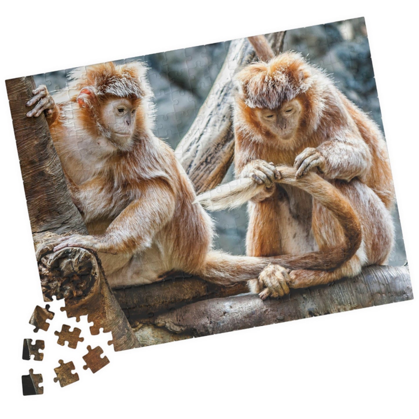 Get ready for endless fun with the Two Adorable Monkeys Puzzle! Featuring two playful monkeys in a stunning 110 to 1014 piece puzzle, this quirky and humorous puzzle is perfect for anyone who doesn't take themselves too seriously. With unique word play, double meanings, and a playful tone, this puzzle is sure to provide hours of entertainment.