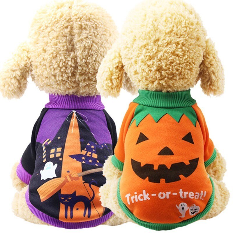 Funny Halloween Dog Costumes