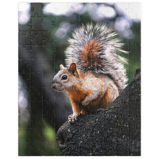 Get lost in nature with this playful Squirrel in The Park puzzle. With 110-1014 pieces, it's the perfect challenge for a lazy afternoon. Piece together this cute critter and enhance your puzzle skills.