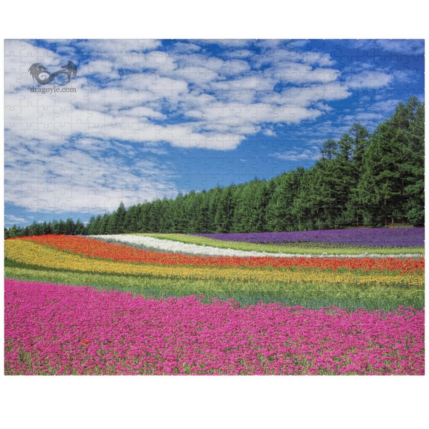 Experience the vibrant beauty of the Rainbow Colored Fields Puzzle! With 110 to 1014 pieces, this puzzle offers both a challenging and relaxing activity. As each piece falls into place, watch the mesmerizing colors come together to create a stunning landscape.
