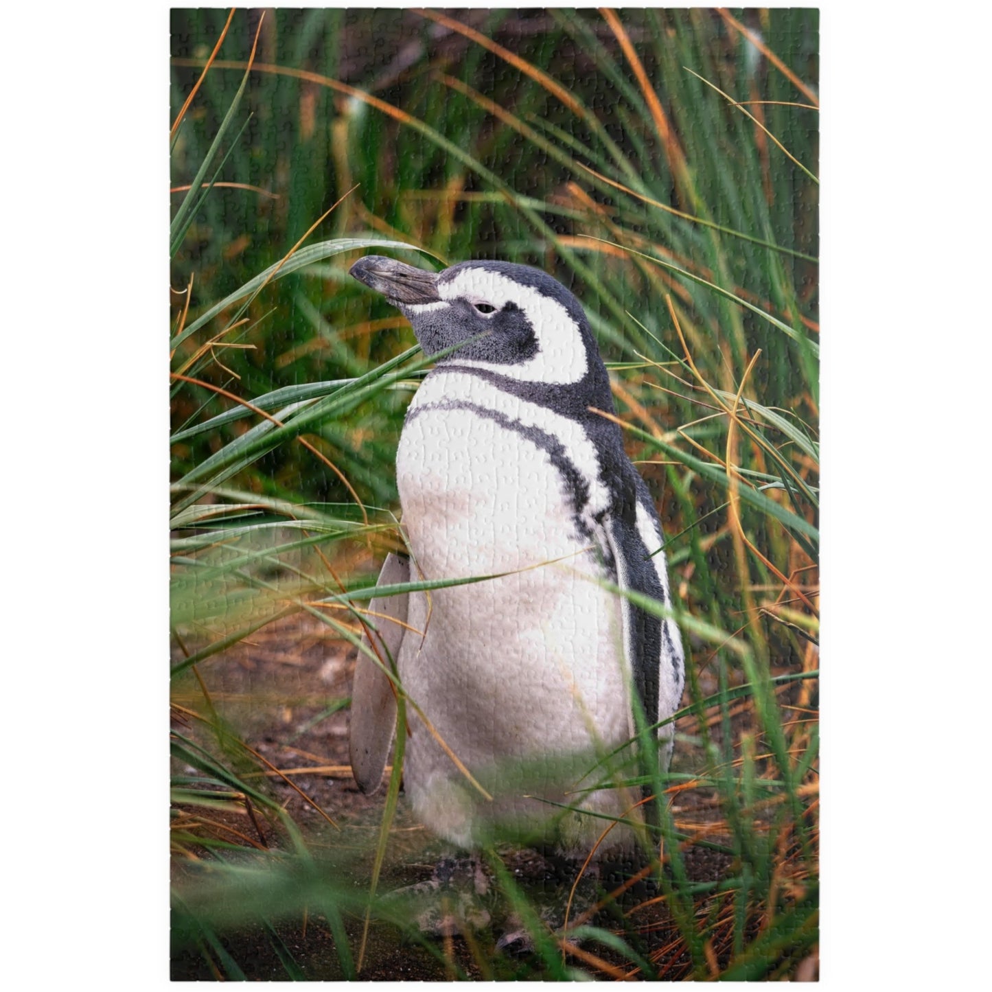 Get lost in the waddling world of our Penguin in The Reeds Puzzle! With 110 to 1014 pieces, this puzzle features a playful penguin hidden among the reeds. Unwind while piecing together this quirky and fun puzzle.