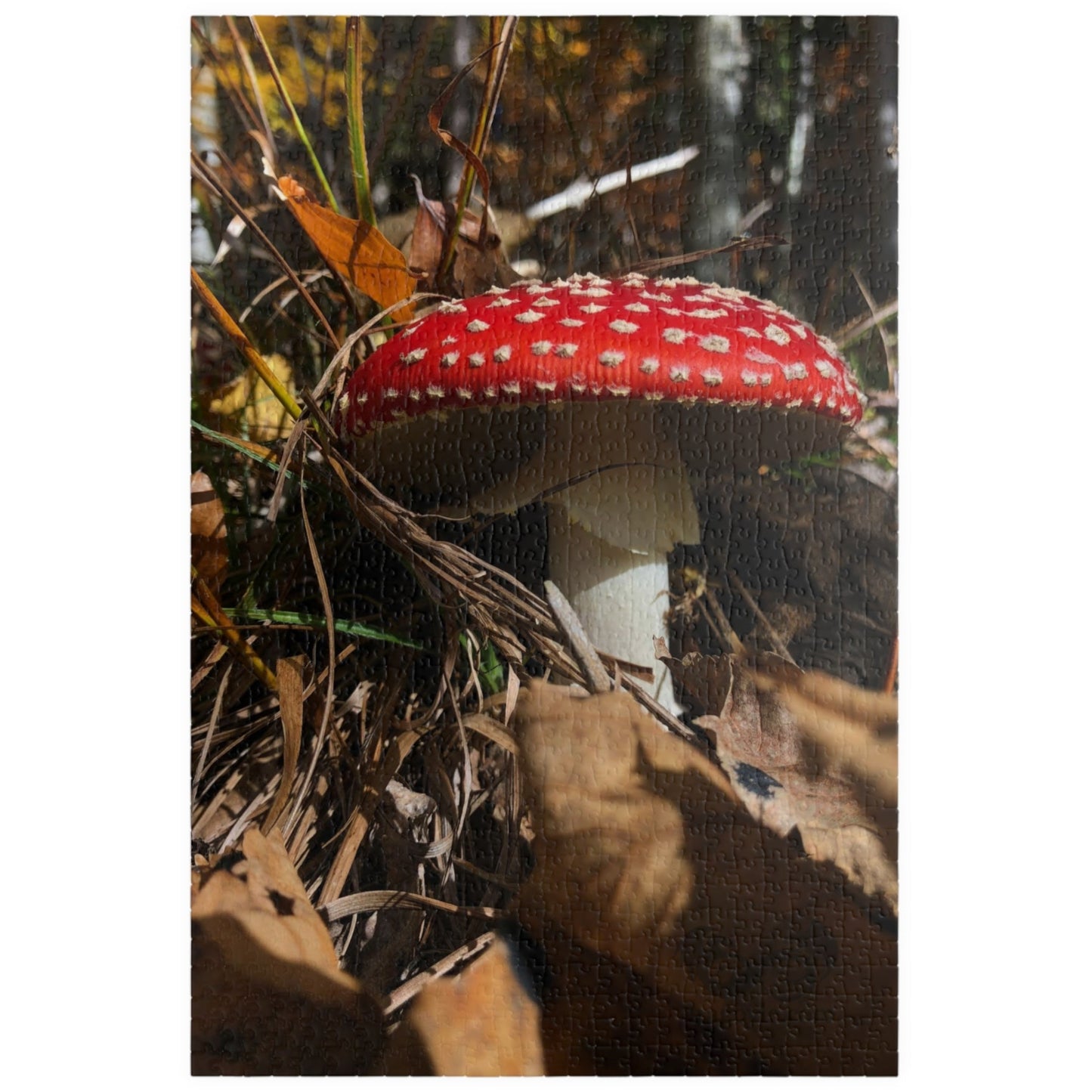 This Single Red Mushrooms Puzzle features a captivating image of vibrant mushrooms, ranging from 110 to 1014 pieces. With high-quality materials and intricate design, it offers a challenging yet satisfying puzzle-solving experience.