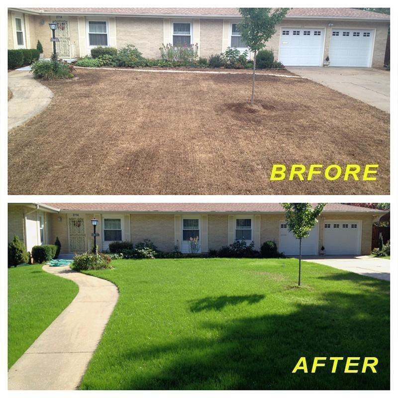 Our Biodegradable Grass Seed Starter Mat offers an easy and eco-friendly way to plant and grow grass. The mat is made of biodegradable material, ensuring that the mat will break down naturally and quickly.