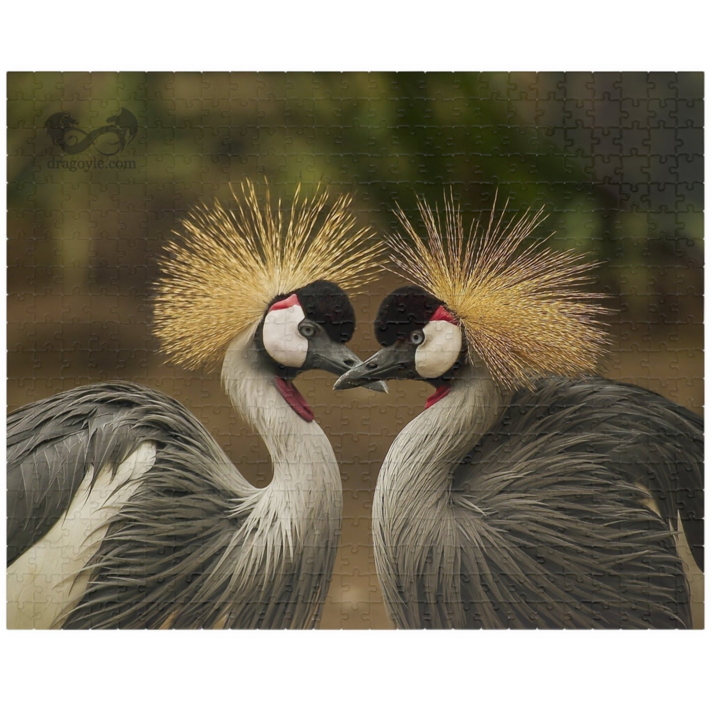 Discover the beauty of East Africa with our Crowned Crane Puzzle! Featuring 110 to 1014 pieces, this puzzle showcases the stunning East African Crowned Crane in all its glory. Piece by piece, you'll be amazed by the intricate details and vibrant colors of this majestic bird. Perfect for puzzle enthusiasts and nature lovers alike!