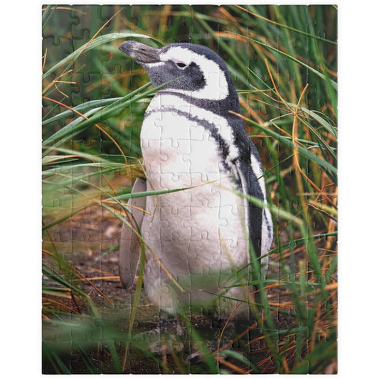 Get lost in the waddling world of our Penguin in The Reeds Puzzle! With 110 to 1014 pieces, this puzzle features a playful penguin hidden among the reeds. Unwind while piecing together this quirky and fun puzzle.
