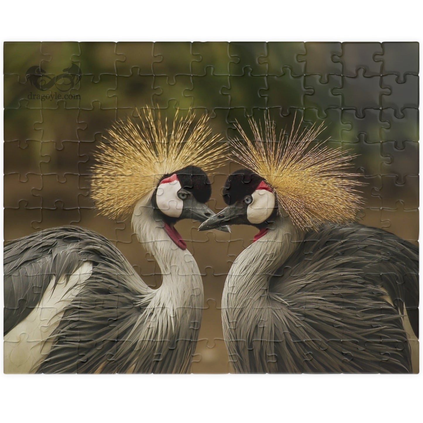 Discover the beauty of East Africa with our Crowned Crane Puzzle! Featuring 110 to 1014 pieces, this puzzle showcases the stunning East African Crowned Crane in all its glory. Piece by piece, you'll be amazed by the intricate details and vibrant colors of this majestic bird. Perfect for puzzle enthusiasts and nature lovers alike!