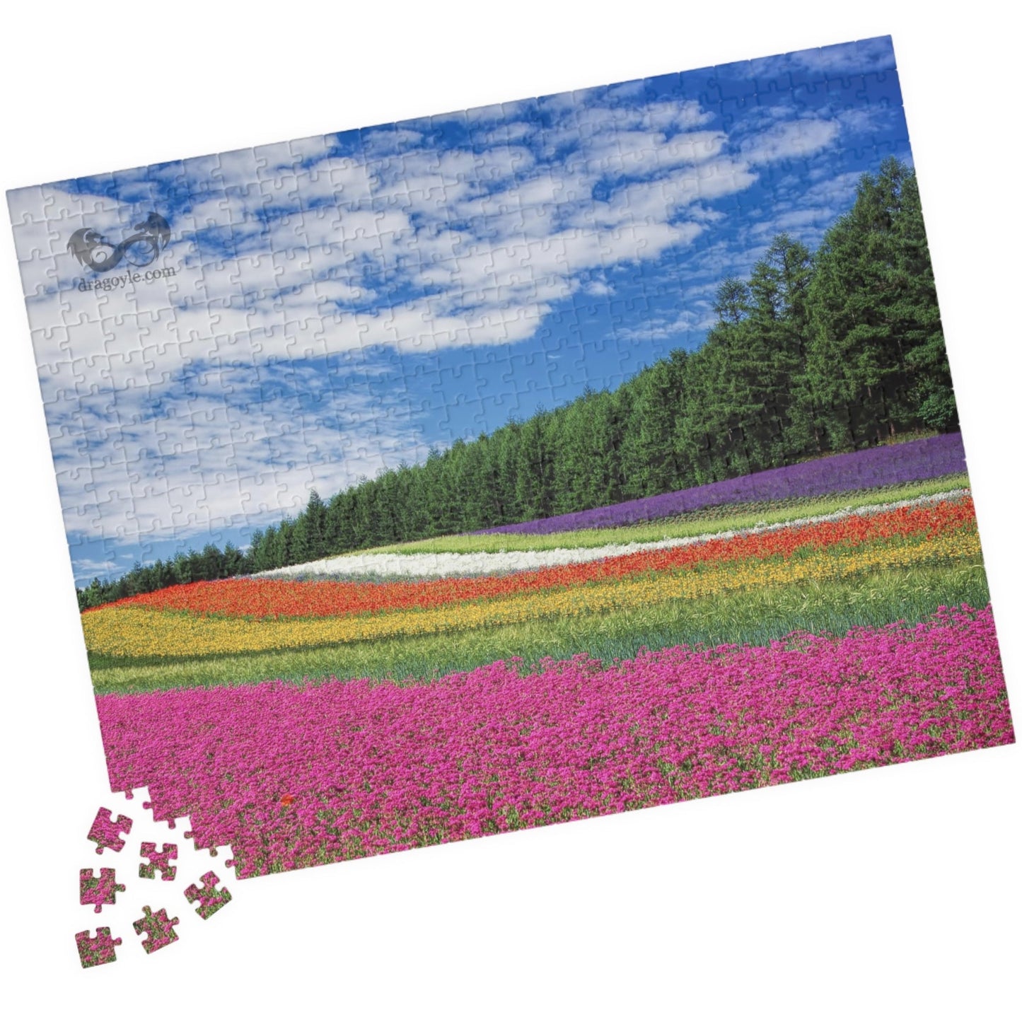 Experience the vibrant beauty of the Rainbow Colored Fields Puzzle! With 110 to 1014 pieces, this puzzle offers both a challenging and relaxing activity. As each piece falls into place, watch the mesmerizing colors come together to create a stunning landscape.