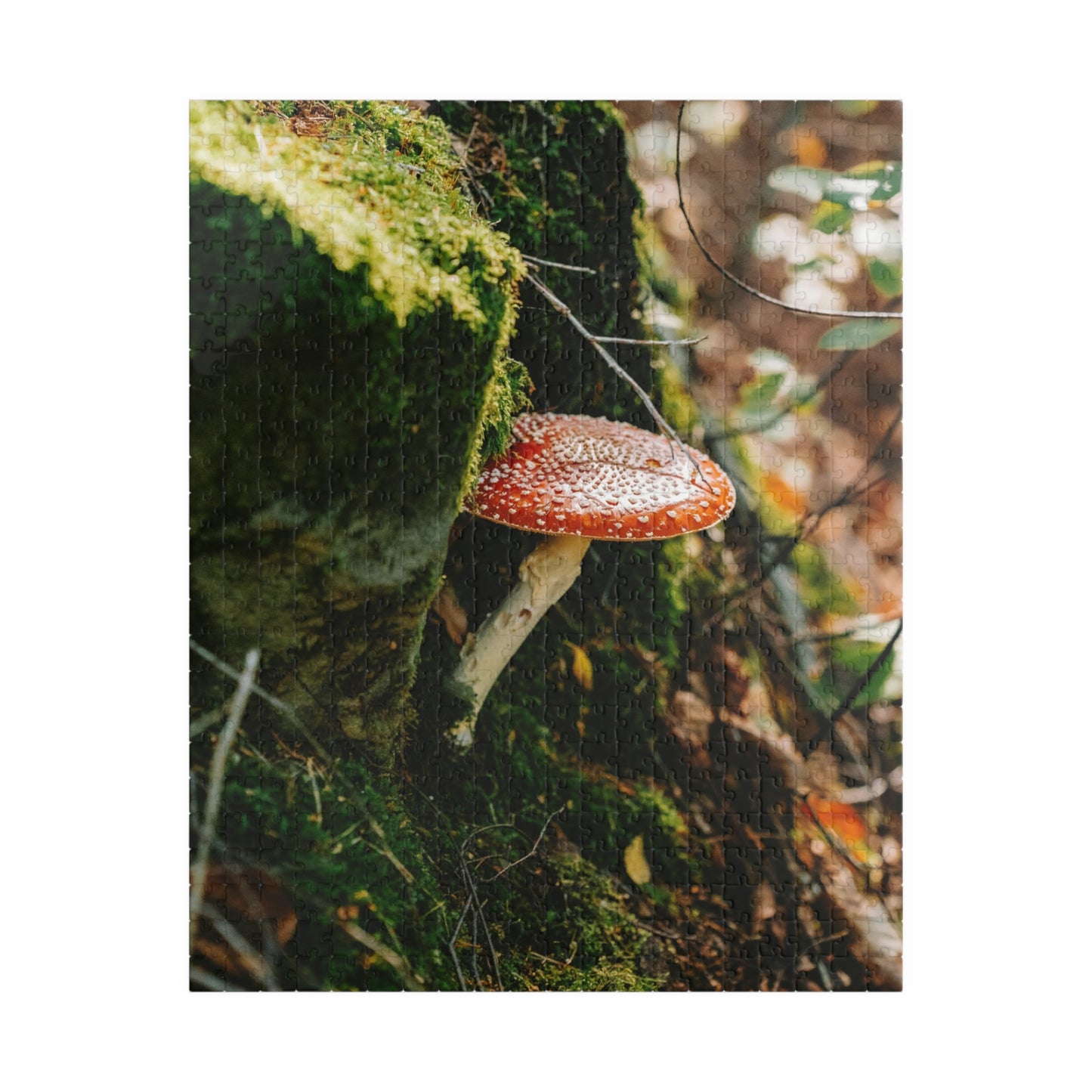 Beautiful Single Mushroom Puzzle - 110 to 1014 Pieces