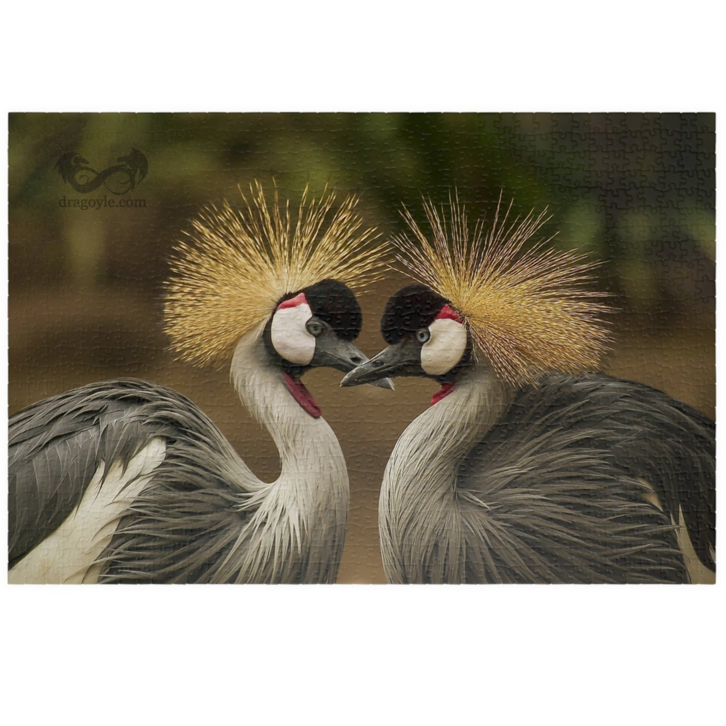 Discover the beauty of East Africa with our Crowned Crane Puzzle! Featuring 110 to 1014 pieces, this puzzle showcases the stunning East African Crowned Crane in all its glory. Piece by piece, you'll be amazed by the intricate details and vibrant colors of this majestic bird. Perfect for puzzle enthusiasts and nature lovers alike!