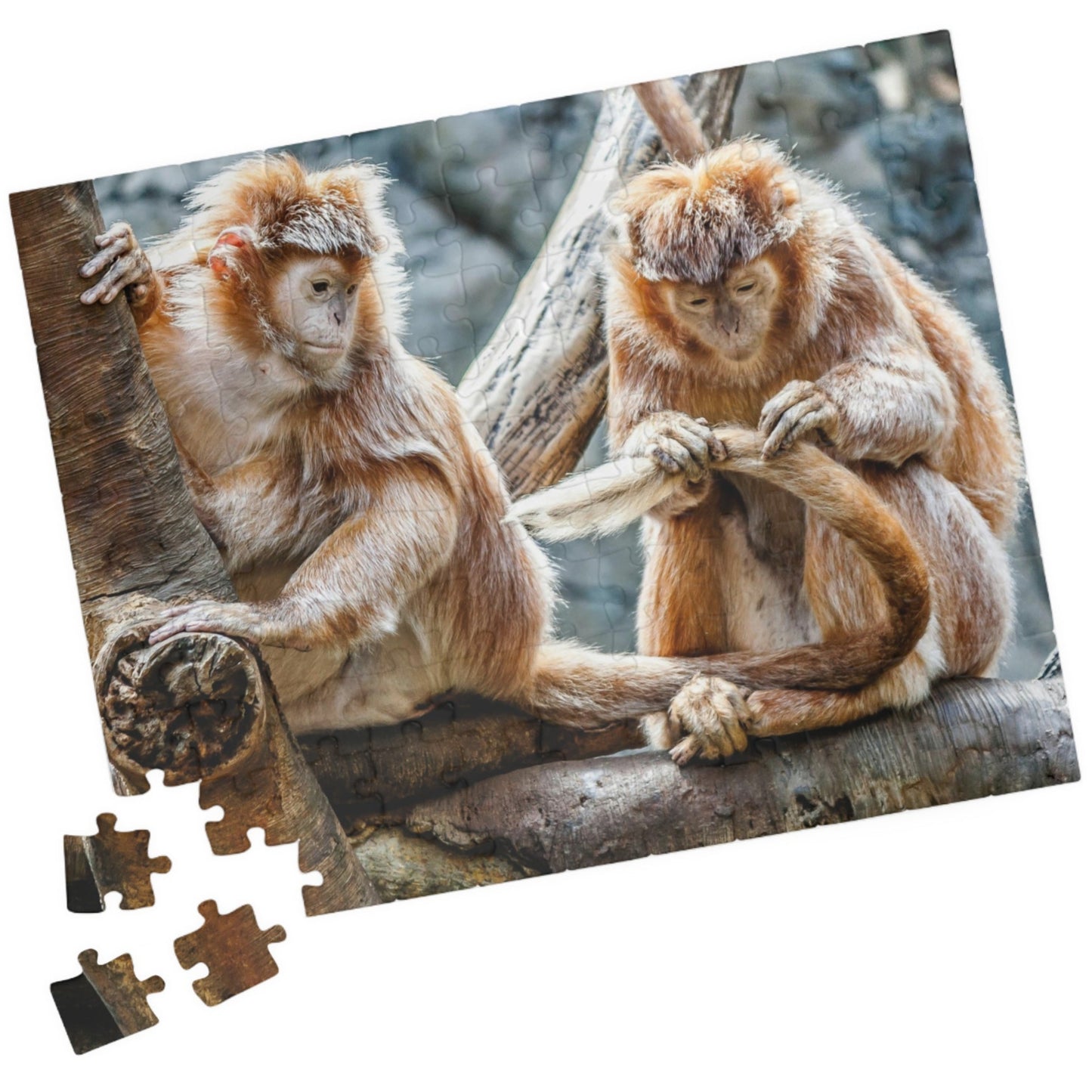 Get ready for endless fun with the Two Adorable Monkeys Puzzle! Featuring two playful monkeys in a stunning 110 to 1014 piece puzzle, this quirky and humorous puzzle is perfect for anyone who doesn't take themselves too seriously. With unique word play, double meanings, and a playful tone, this puzzle is sure to provide hours of entertainment.