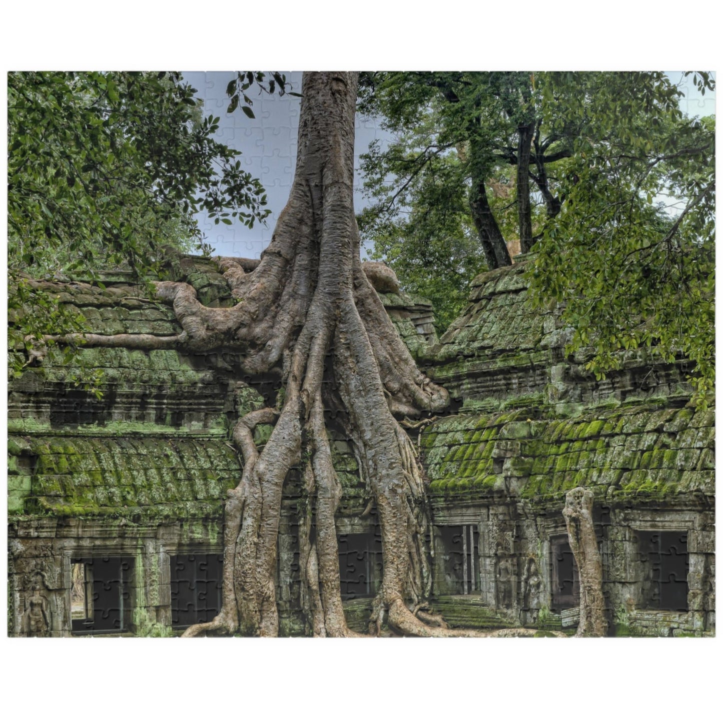 Explore the ancient world with our Overgrown Tree House Puzzle. With 110 to 1014 pieces, this puzzle offers hours of challenge and satisfaction. Discover the beauty and mystery of the tree house as you piece together the intricate details of this ancient structure. Perfect for puzzle enthusiasts and history buffs alike.