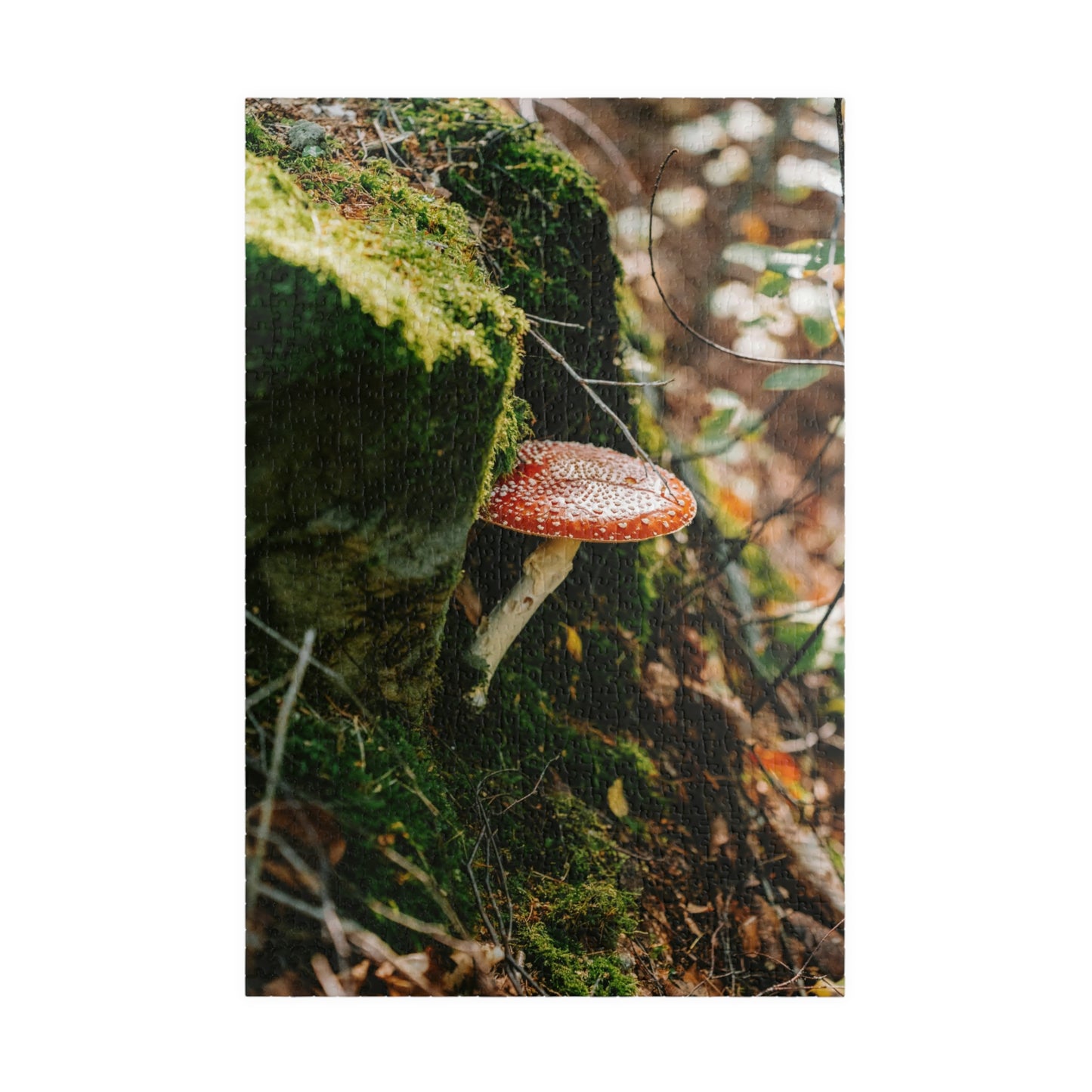 Beautiful Single Mushroom Puzzle - 110 to 1014 Pieces