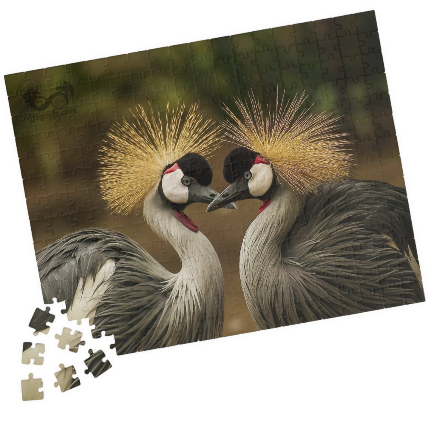 Discover the beauty of East Africa with our Crowned Crane Puzzle! Featuring 110 to 1014 pieces, this puzzle showcases the stunning East African Crowned Crane in all its glory. Piece by piece, you'll be amazed by the intricate details and vibrant colors of this majestic bird. Perfect for puzzle enthusiasts and nature lovers alike!