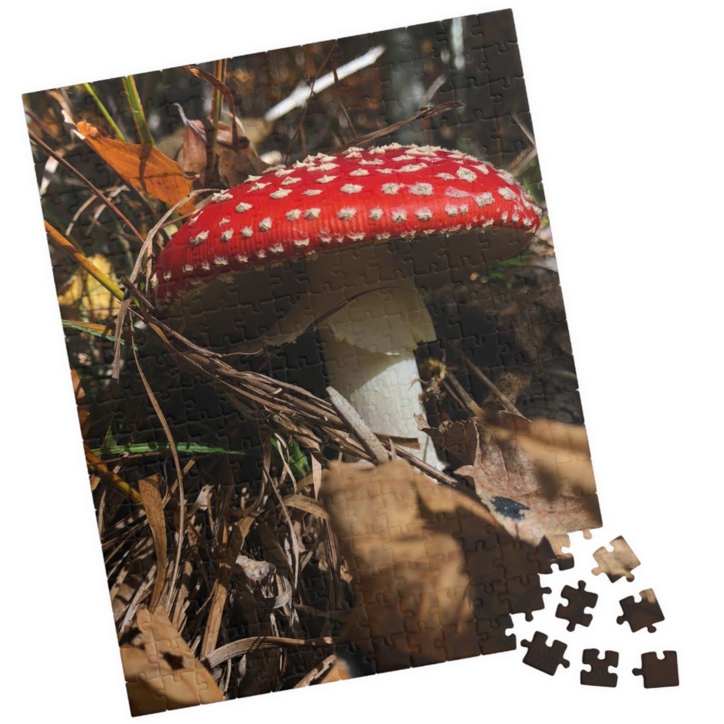 This Single Red Mushrooms Puzzle features a captivating image of vibrant mushrooms, ranging from 110 to 1014 pieces. With high-quality materials and intricate design, it offers a challenging yet satisfying puzzle-solving experience.