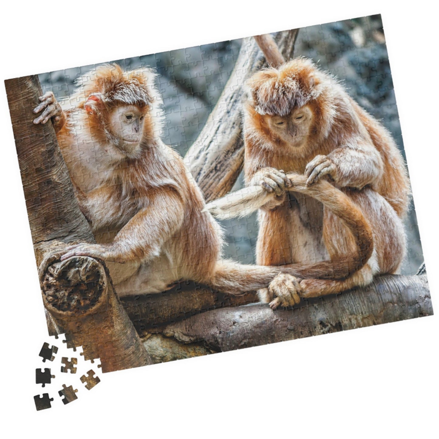 Get ready for endless fun with the Two Adorable Monkeys Puzzle! Featuring two playful monkeys in a stunning 110 to 1014 piece puzzle, this quirky and humorous puzzle is perfect for anyone who doesn't take themselves too seriously. With unique word play, double meanings, and a playful tone, this puzzle is sure to provide hours of entertainment.