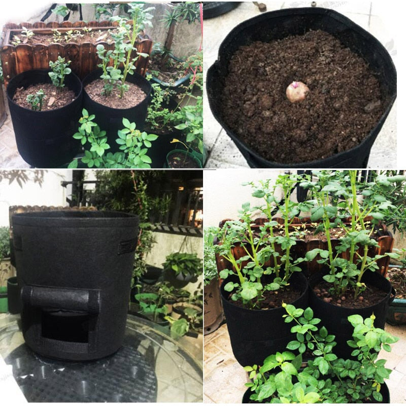 our Moisturizing Vertical Plant Grow Bags! These bags provide moisture and support for your plants, promoting growth and vitality. Say goodbye to constantly watering and maintaining your plants, and hello to a beautiful, thriving garden.