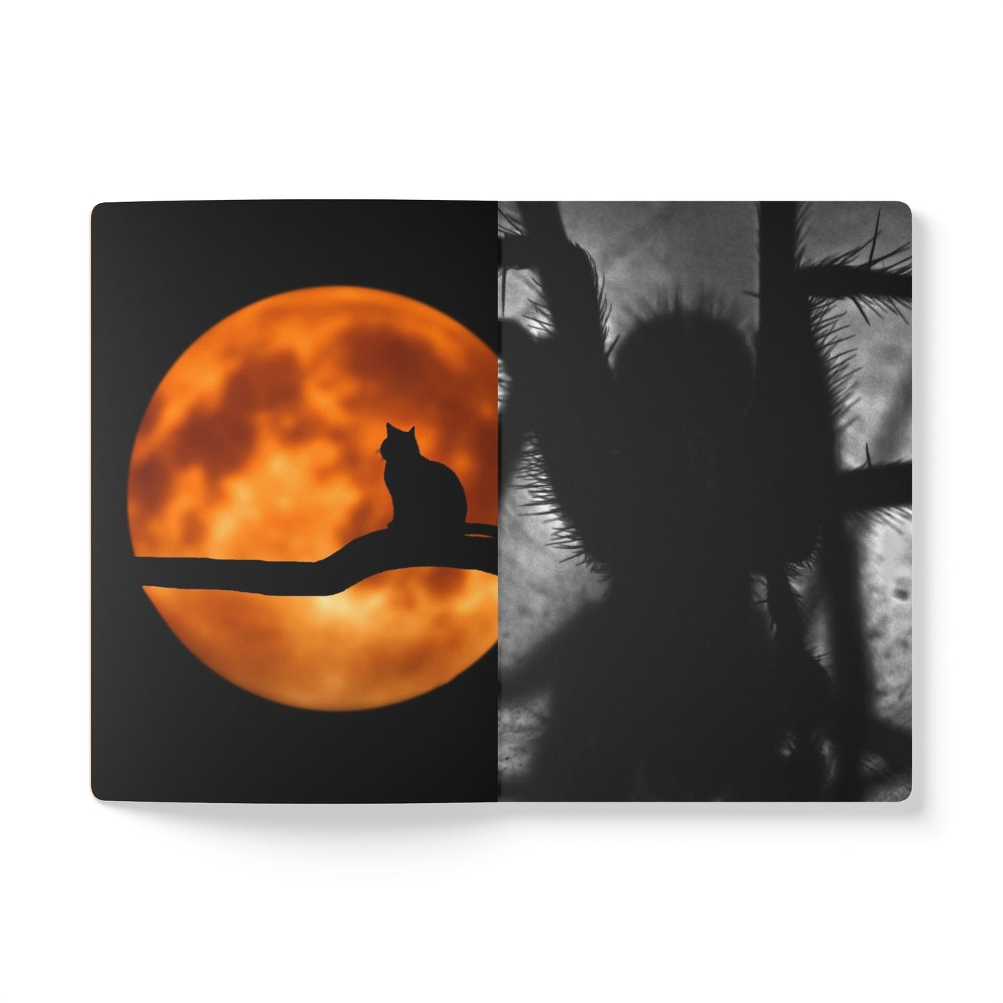 Split-screen image with a cat on a branch against an orange moon on the left, and a silhouette of a person in a dark setting on the right.