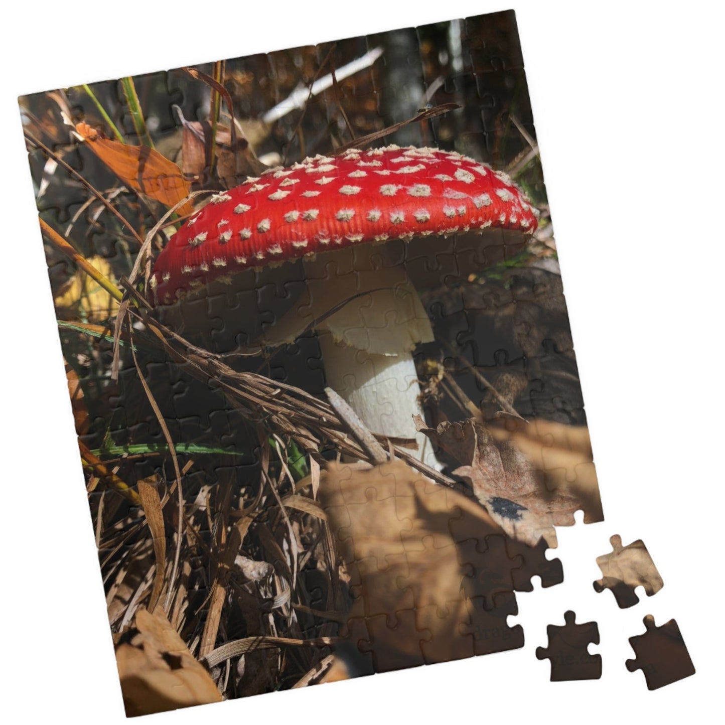 This Single Red Mushrooms Puzzle features a captivating image of vibrant mushrooms, ranging from 110 to 1014 pieces. With high-quality materials and intricate design, it offers a challenging yet satisfying puzzle-solving experience.