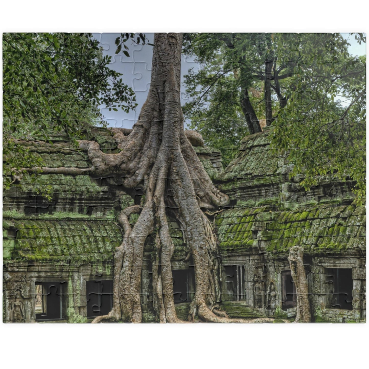 Explore the ancient world with our Overgrown Tree House Puzzle. With 110 to 1014 pieces, this puzzle offers hours of challenge and satisfaction. Discover the beauty and mystery of the tree house as you piece together the intricate details of this ancient structure. Perfect for puzzle enthusiasts and history buffs alike.