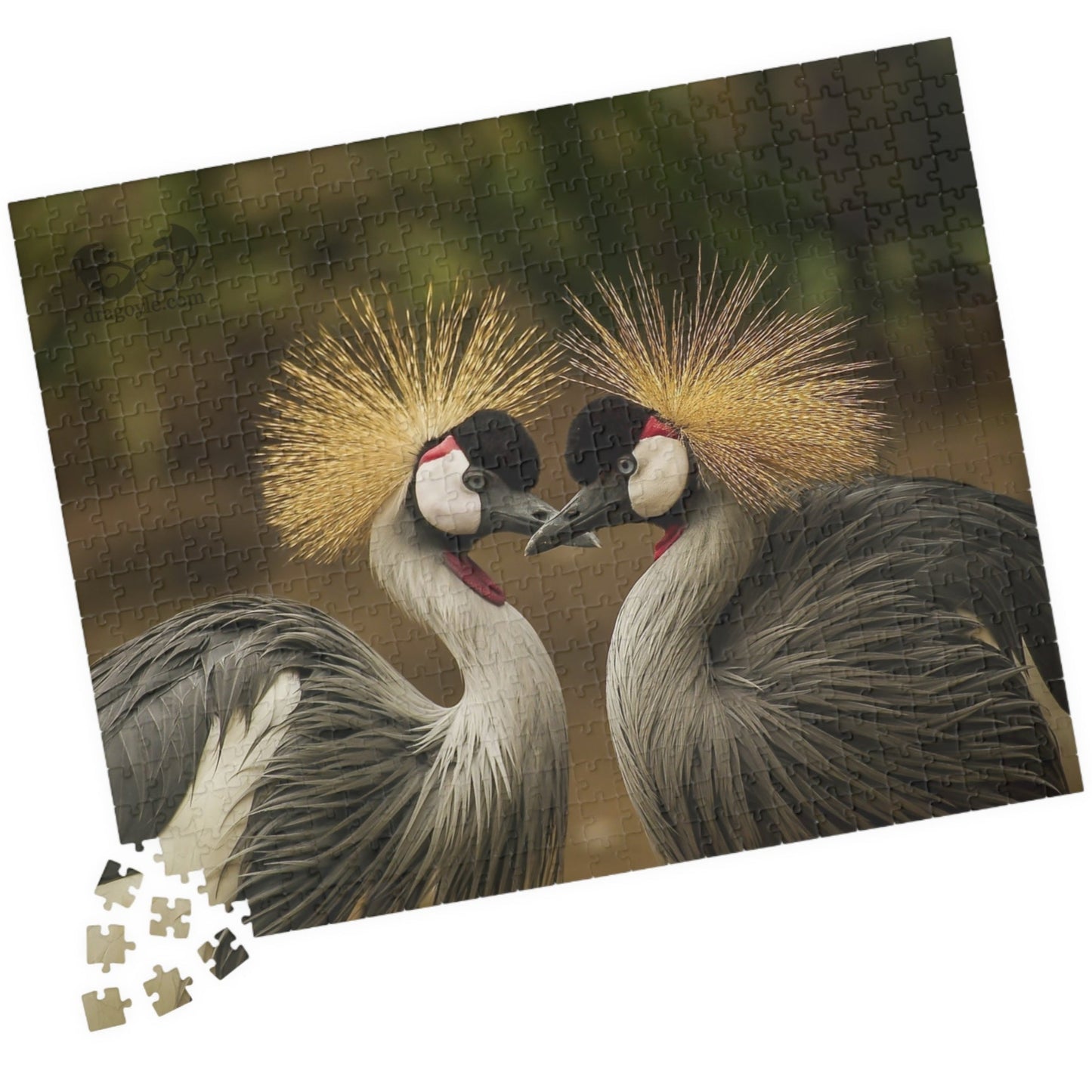 Discover the beauty of East Africa with our Crowned Crane Puzzle! Featuring 110 to 1014 pieces, this puzzle showcases the stunning East African Crowned Crane in all its glory. Piece by piece, you'll be amazed by the intricate details and vibrant colors of this majestic bird. Perfect for puzzle enthusiasts and nature lovers alike!