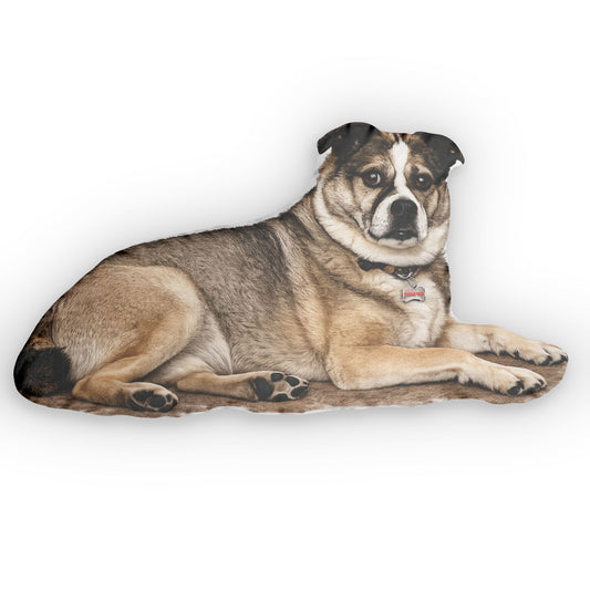 Dog-shaped pillow on a white background