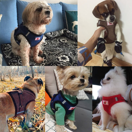 Elevate your walks with our Reflective Adjustable Breathable Harness & Leash sets. Designed for safety and comfort, the reflective material keeps your pup visible in low light while the breathable design keeps them cool. With adjustable straps, finding the perfect fit has never been easier.