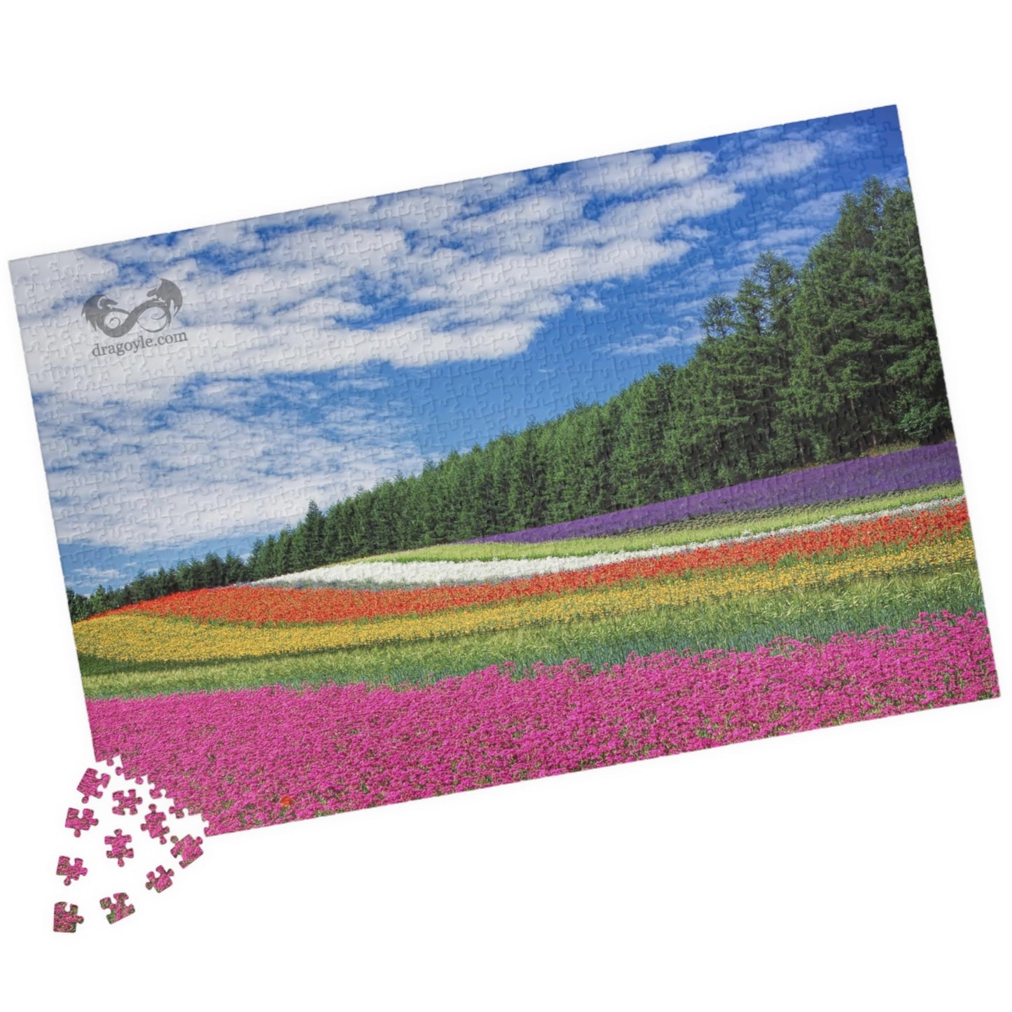 Experience the vibrant beauty of the Rainbow Colored Fields Puzzle! With 110 to 1014 pieces, this puzzle offers both a challenging and relaxing activity. As each piece falls into place, watch the mesmerizing colors come together to create a stunning landscape.