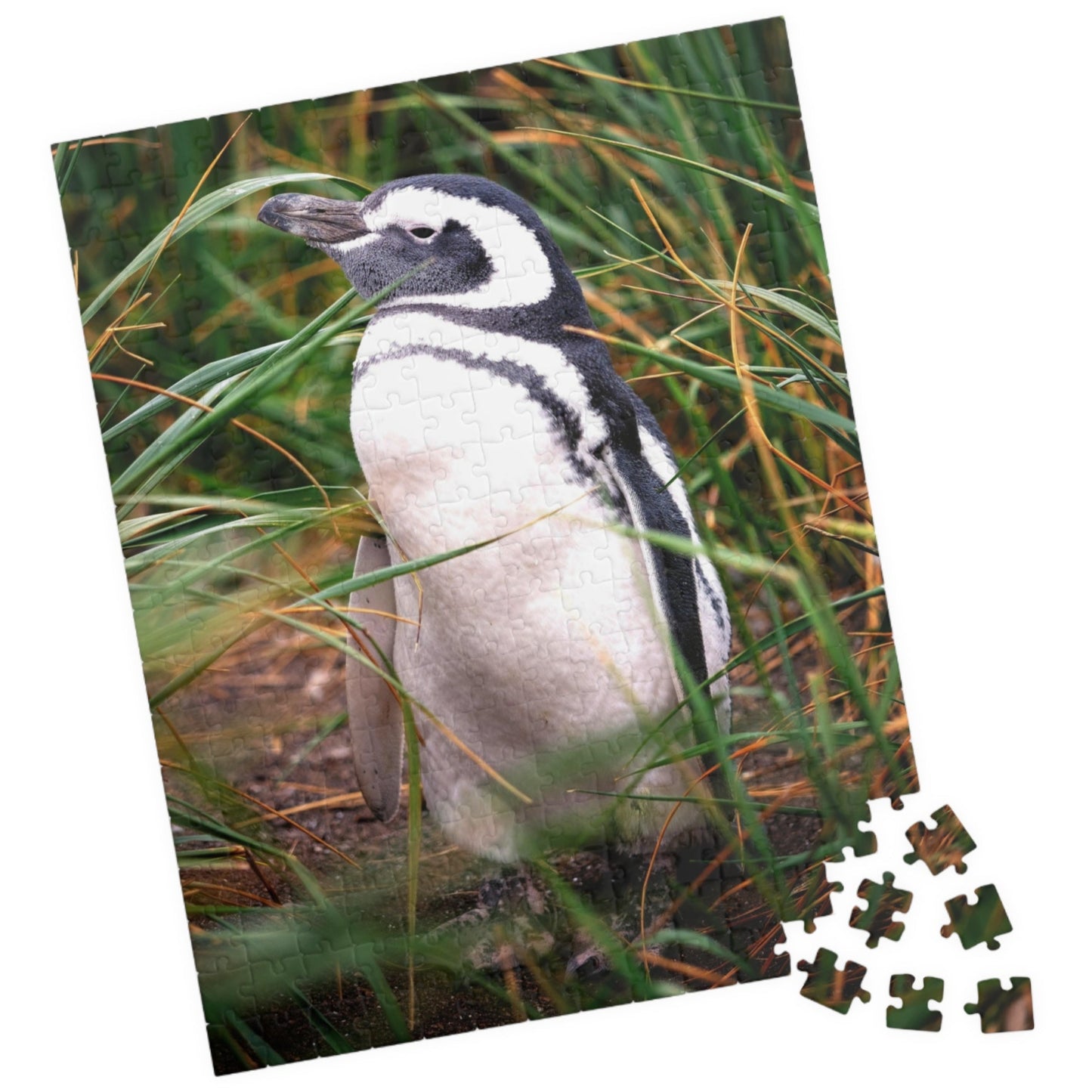 Get lost in the waddling world of our Penguin in The Reeds Puzzle! With 110 to 1014 pieces, this puzzle features a playful penguin hidden among the reeds. Unwind while piecing together this quirky and fun puzzle.