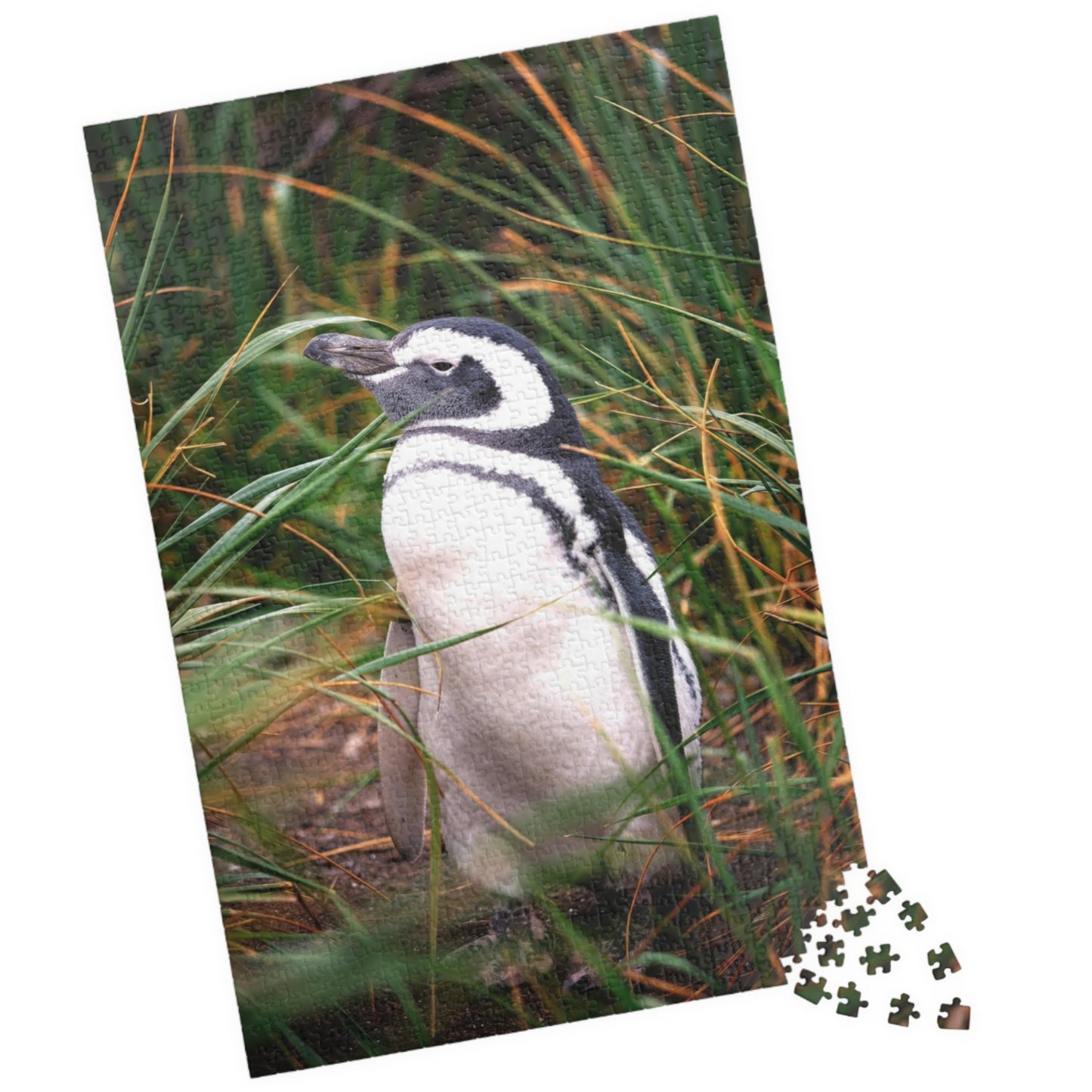 Get lost in the waddling world of our Penguin in The Reeds Puzzle! With 110 to 1014 pieces, this puzzle features a playful penguin hidden among the reeds. Unwind while piecing together this quirky and fun puzzle.