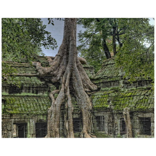 Explore the ancient world with our Overgrown Tree House Puzzle. With 110 to 1014 pieces, this puzzle offers hours of challenge and satisfaction. Discover the beauty and mystery of the tree house as you piece together the intricate details of this ancient structure. Perfect for puzzle enthusiasts and history buffs alike.