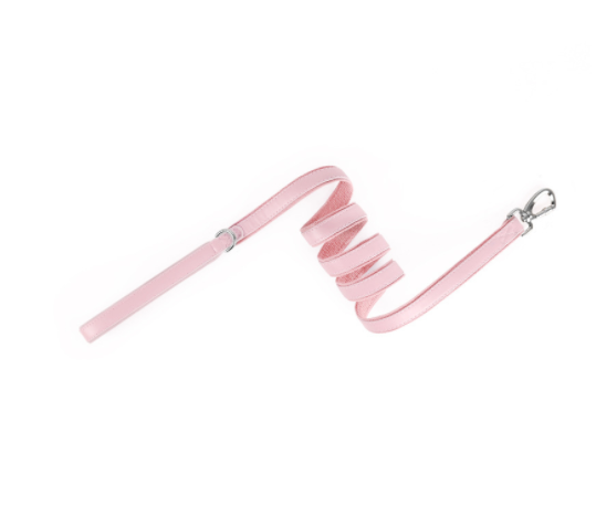 Protective Leather Airtag Cover Pet Collar. Keep your furry pal safe and secure with this luxurious cover that'll make them look paw-sitively good.