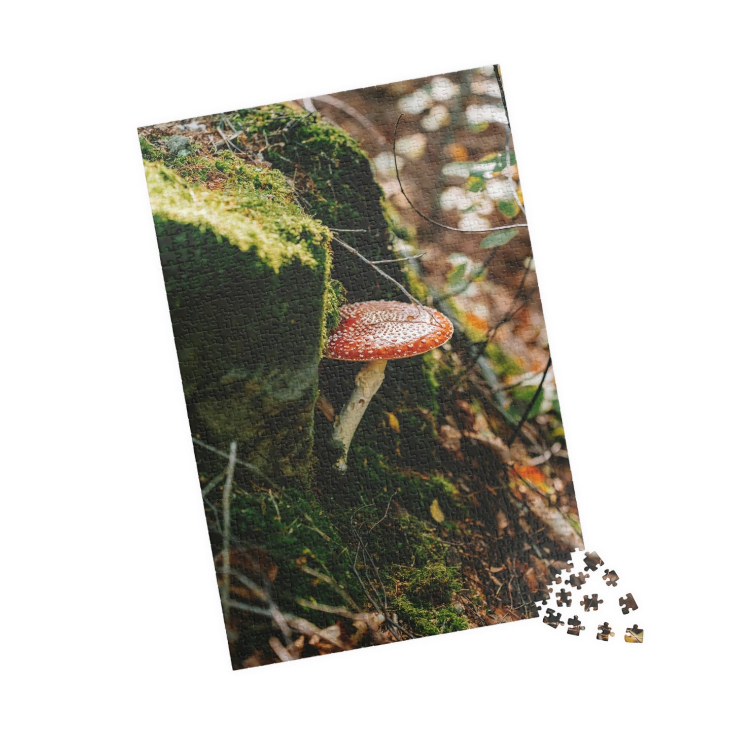Beautiful Single Mushroom Puzzle - 110 to 1014 Pieces