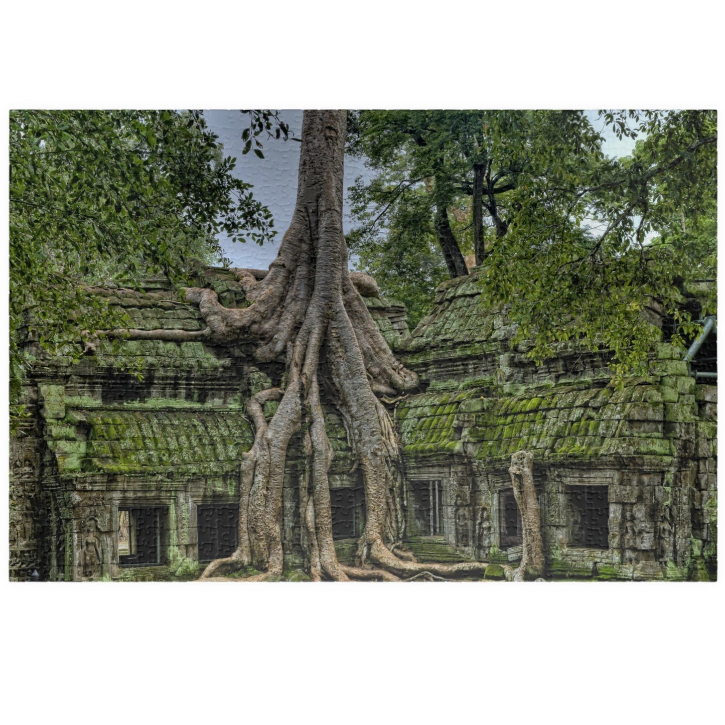 Explore the ancient world with our Overgrown Tree House Puzzle. With 110 to 1014 pieces, this puzzle offers hours of challenge and satisfaction. Discover the beauty and mystery of the tree house as you piece together the intricate details of this ancient structure. Perfect for puzzle enthusiasts and history buffs alike.
