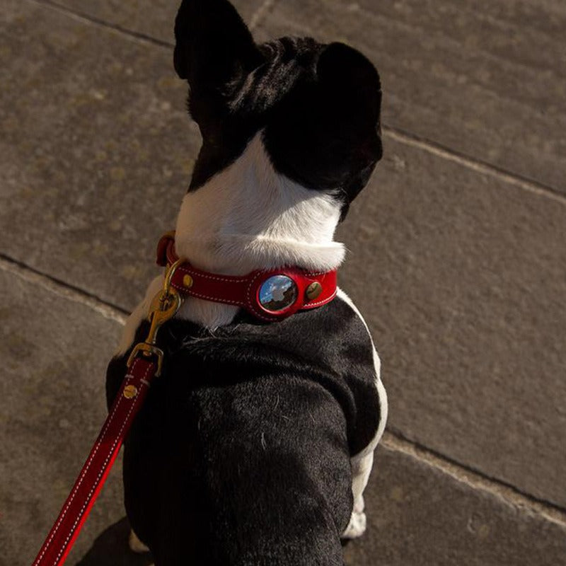 Keep your furry friend safe with the Anti-Loss Apple Airtag Pet Collar! Simply attach your Apple Airtag (not included) to this durable and stylish collar to track their location in real-time. Peace of mind for you and your pet!