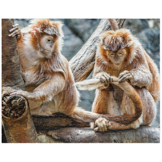 Get ready for endless fun with the Two Adorable Monkeys Puzzle! Featuring two playful monkeys in a stunning 110 to 1014 piece puzzle, this quirky and humorous puzzle is perfect for anyone who doesn't take themselves too seriously. With unique word play, double meanings, and a playful tone, this puzzle is sure to provide hours of entertainment.