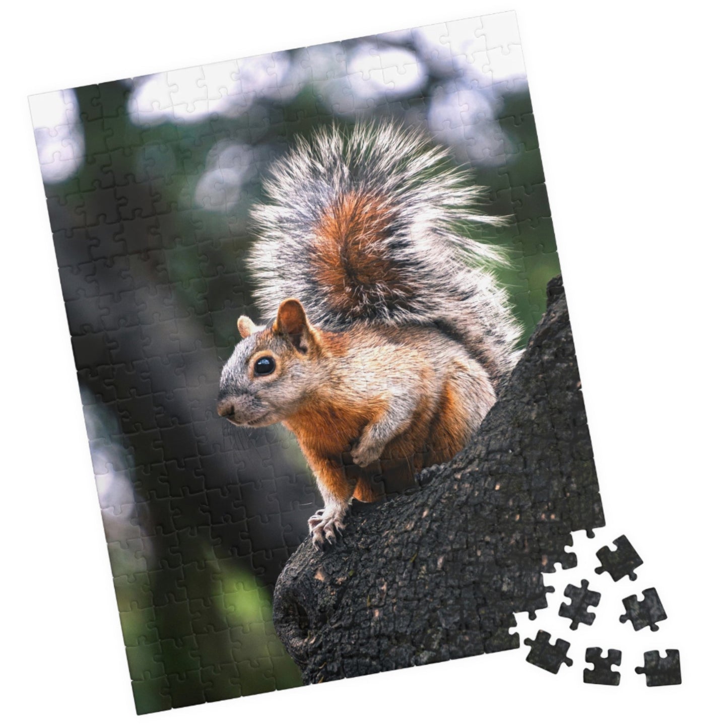 Get lost in nature with this playful Squirrel in The Park puzzle. With 110-1014 pieces, it's the perfect challenge for a lazy afternoon. Piece together this cute critter and enhance your puzzle skills.