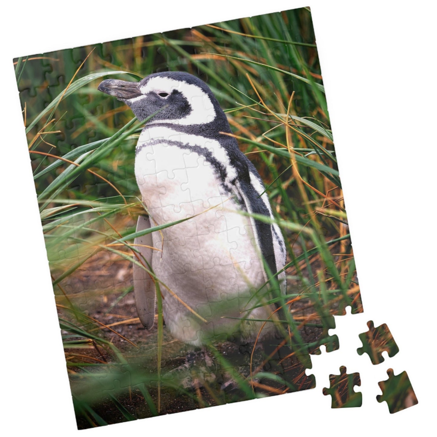 Get lost in the waddling world of our Penguin in The Reeds Puzzle! With 110 to 1014 pieces, this puzzle features a playful penguin hidden among the reeds. Unwind while piecing together this quirky and fun puzzle.