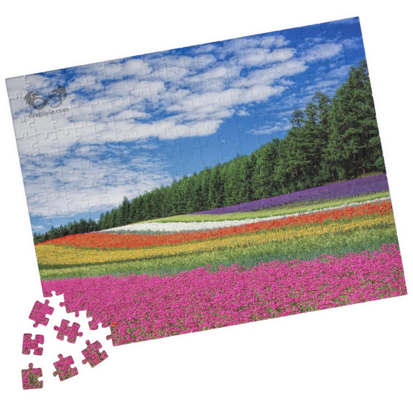 Experience the vibrant beauty of the Rainbow Colored Fields Puzzle! With 110 to 1014 pieces, this puzzle offers both a challenging and relaxing activity. As each piece falls into place, watch the mesmerizing colors come together to create a stunning landscape.